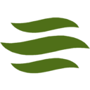 The Ensign Group transparent PNG icon