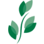 bkd Logo