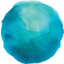 coo Logo
