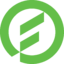 ftv Logo