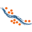 lam.to Logo