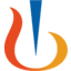 nvs Logo