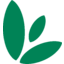 smg Logo