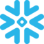 snow Logo