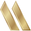 usau Logo