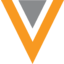 veev Logo