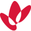 wds Logo