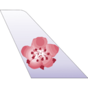 China Airlines
 transparent PNG icon