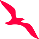 Air Arabia transparent PNG icon