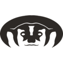 Badger Infrastructure Solutions transparent PNG icon