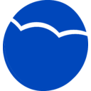 The Vita Coco Company transparent PNG icon