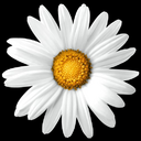 Implenia AG transparent PNG icon