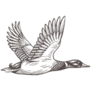 The Duckhorn Portfolio transparent PNG icon