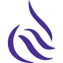 National Petroleum Services Company transparent PNG icon