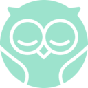 Owlet transparent PNG icon