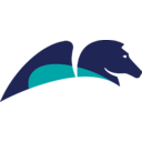 Pegasystems transparent PNG icon