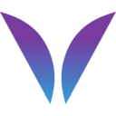 Minerva Surgical transparent PNG icon