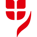 Vienna Insurance Group transparent PNG icon