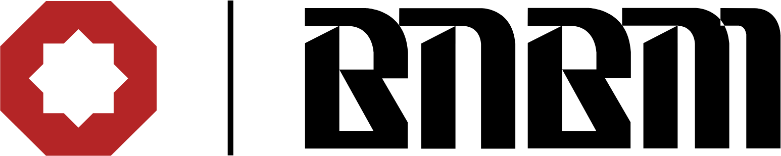 Beijing New Building Materials logo large (transparent PNG)