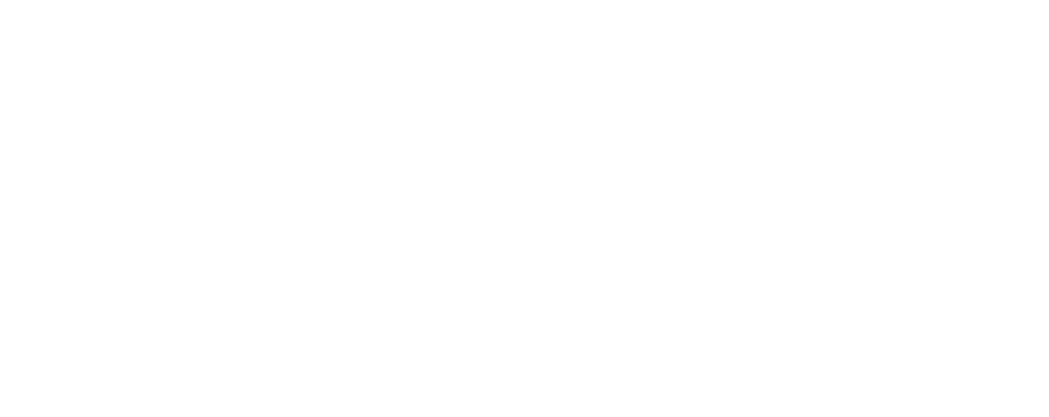 Nexen Tire Corporation logo fulle size on a dark background (transparent PNG)