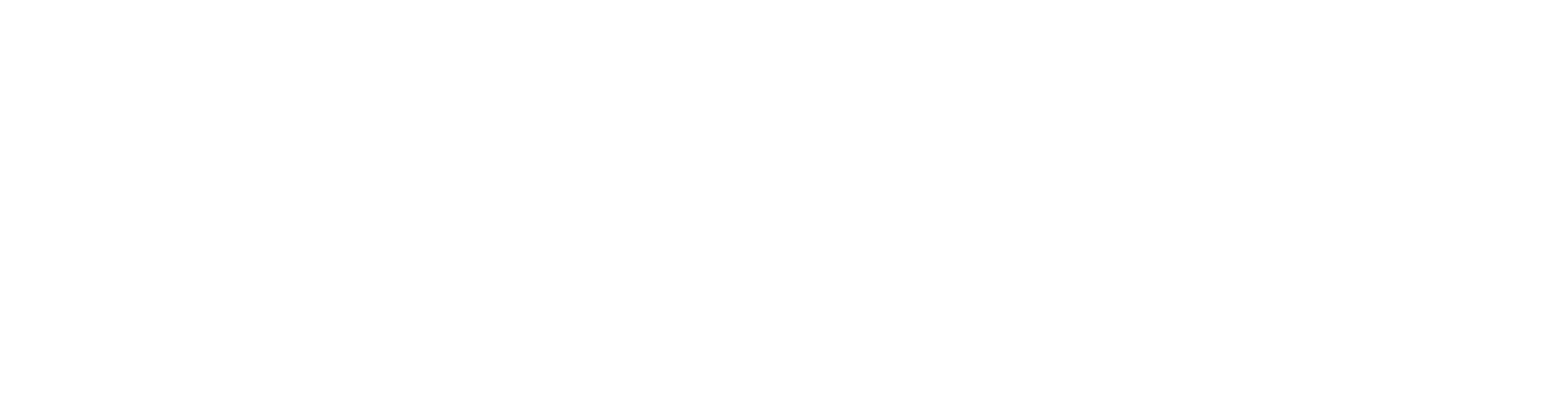 Kingnet Network Logo groß für dunkle Hintergründe (transparentes PNG)