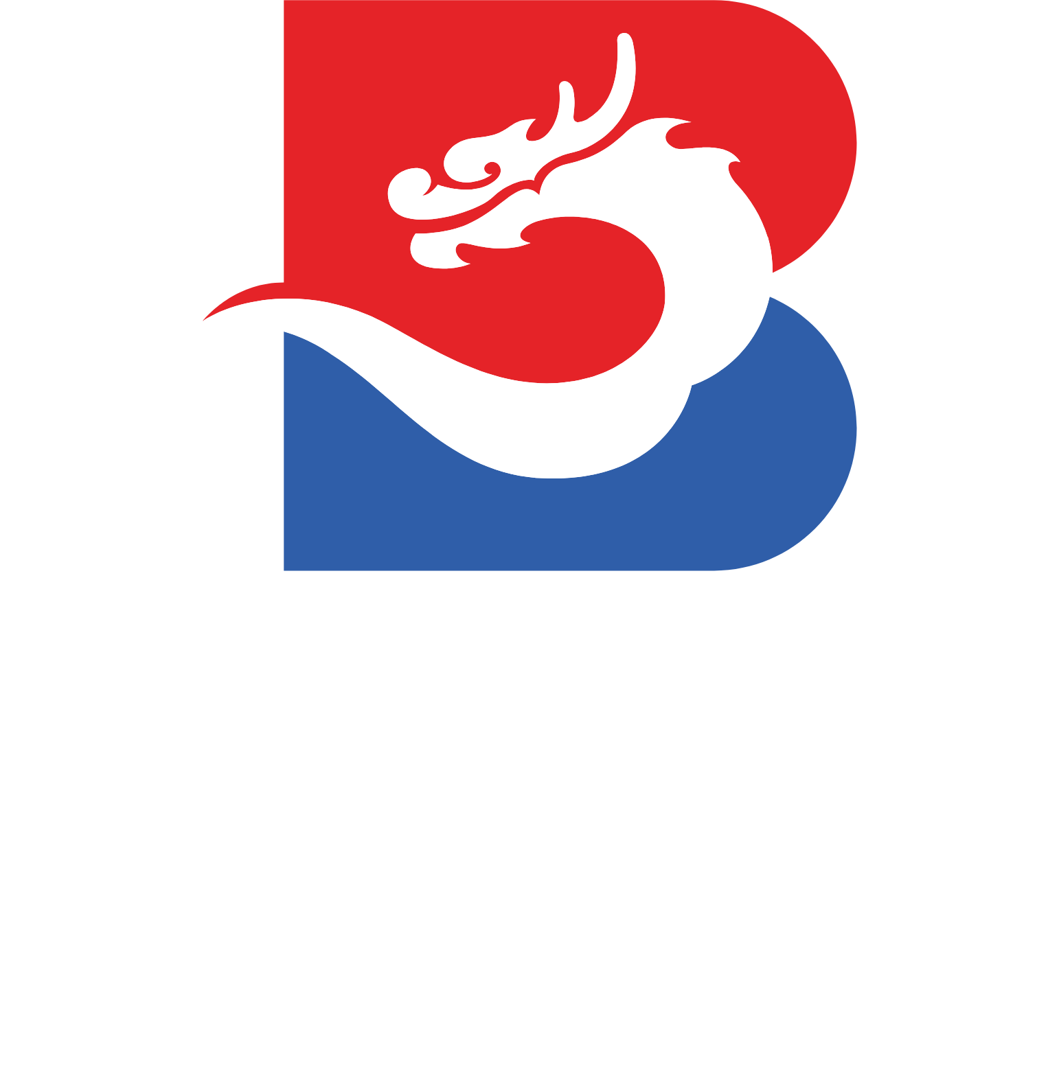 LB Group (LomonBillions) logo fulle size on a dark background (transparent PNG)