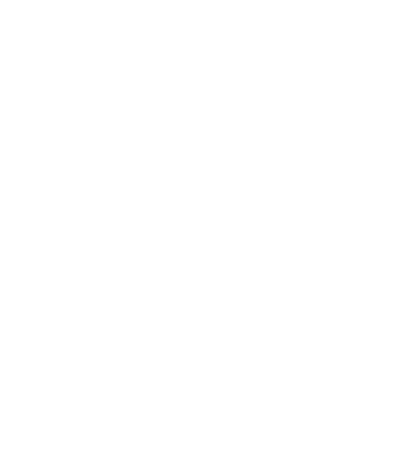 Estun Automation logo pour fonds sombres (PNG transparent)