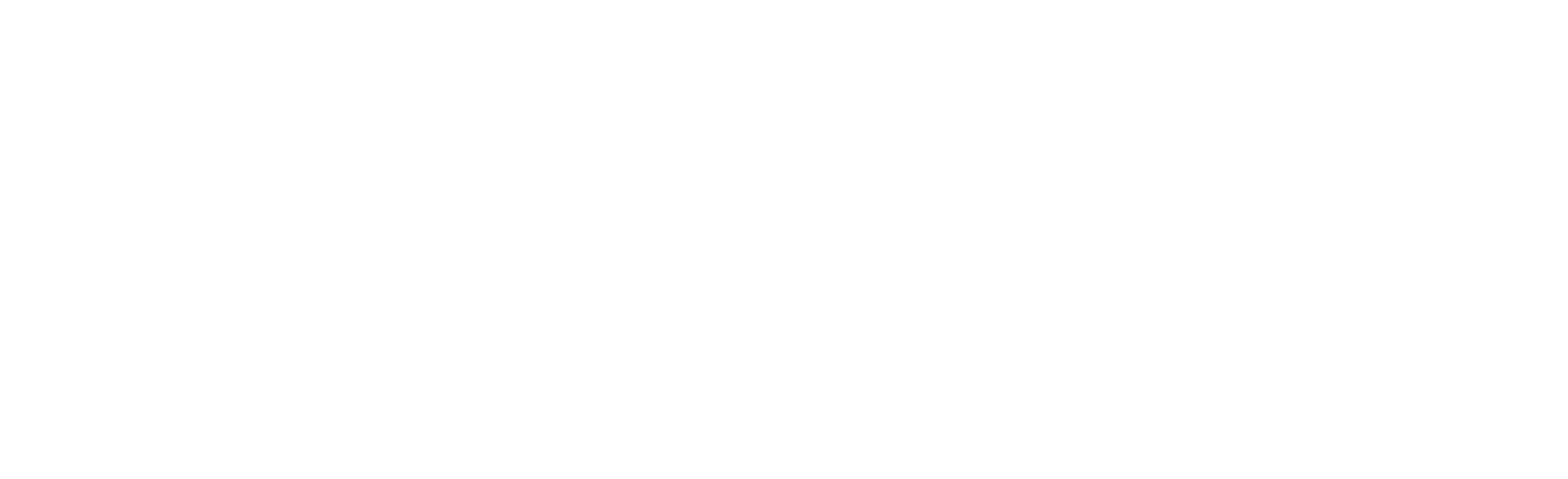Estun Automation logo large for dark backgrounds (transparent PNG)