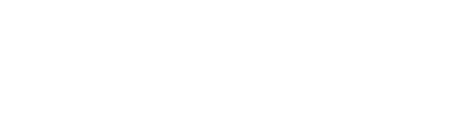 Snt Dynamics Logo für dunkle Hintergründe (transparentes PNG)