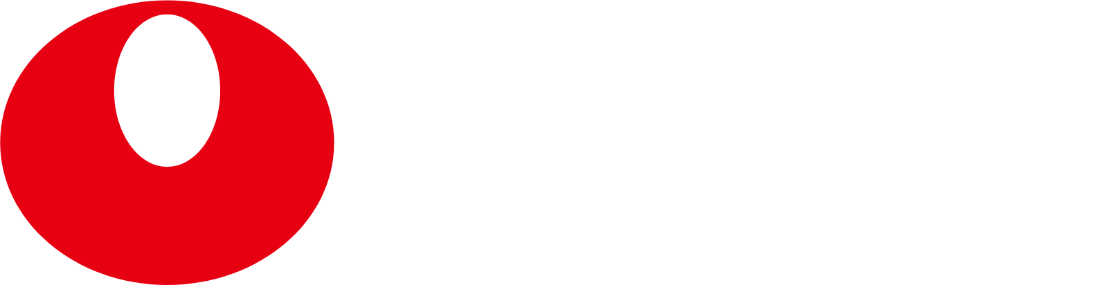 Nongshim logo large for dark backgrounds (transparent PNG)