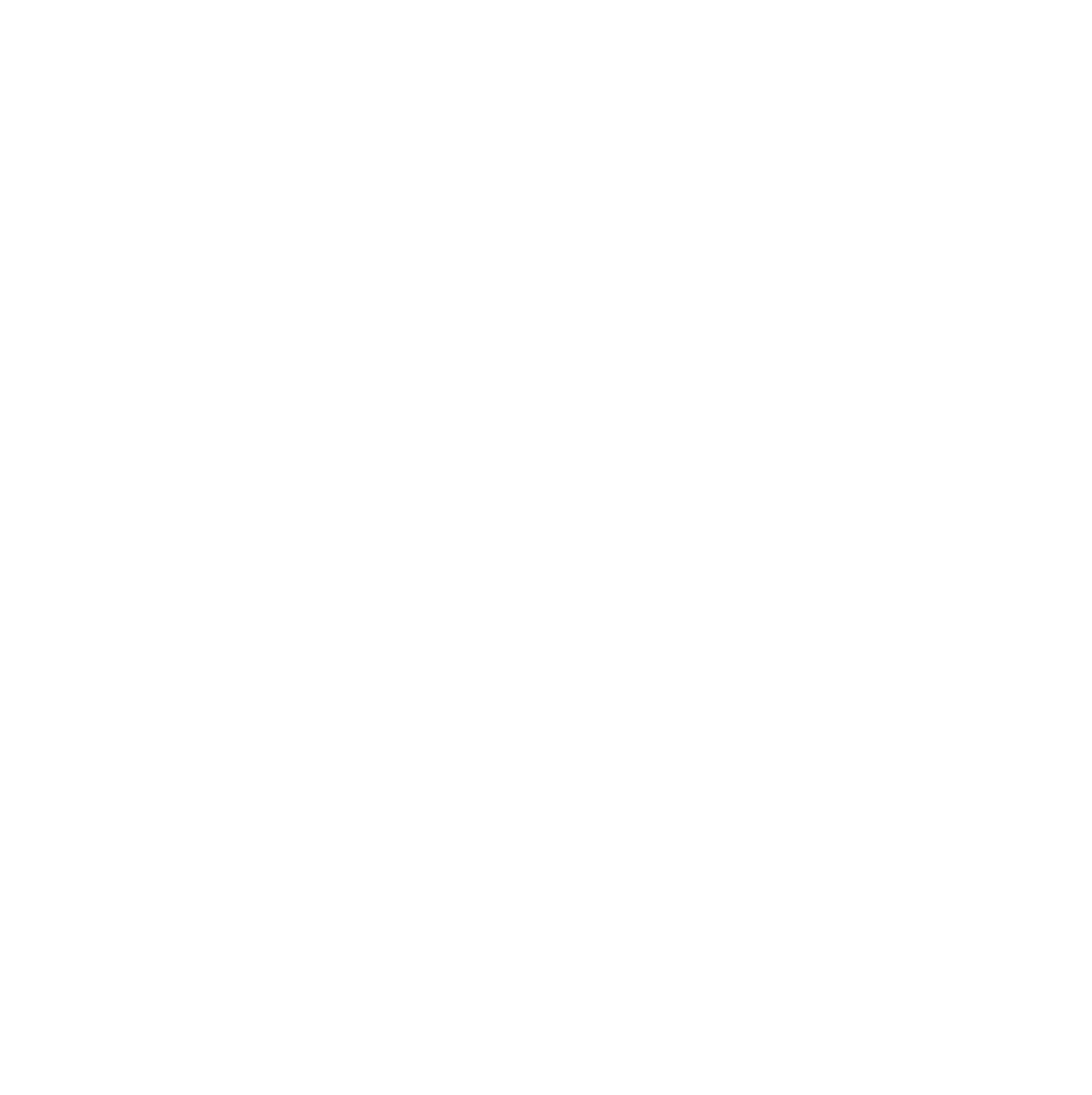 Naver logo pour fonds sombres (PNG transparent)