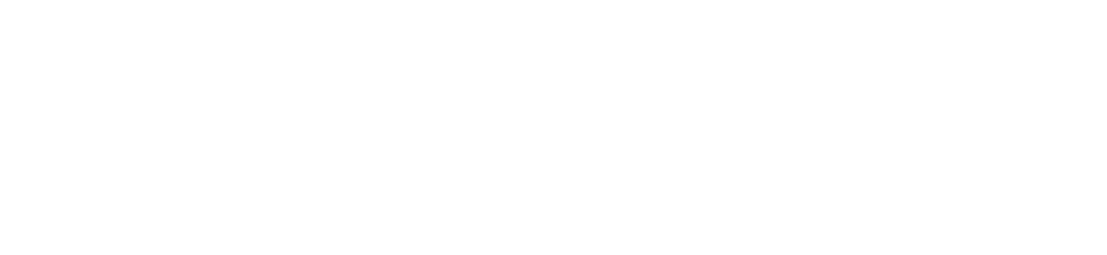 DSME (Daewoo Shipbuilding) logo for dark backgrounds (transparent PNG)