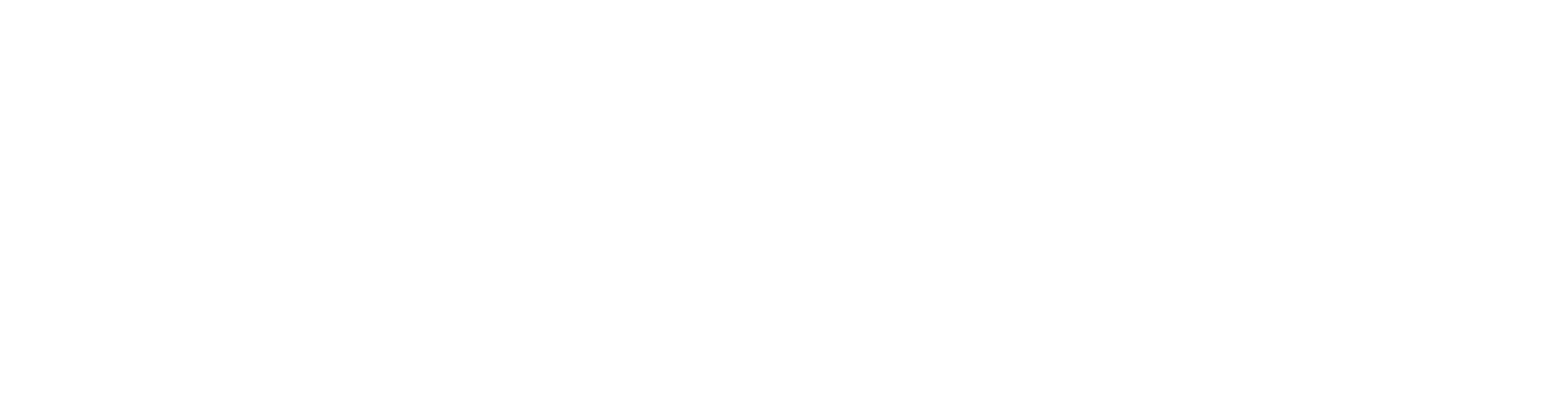Dah Sing Financial logo fulle size on a dark background (transparent PNG)