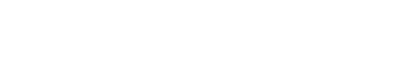 SHEIN Global Holdings Logo für dunkle Hintergründe (transparentes PNG)