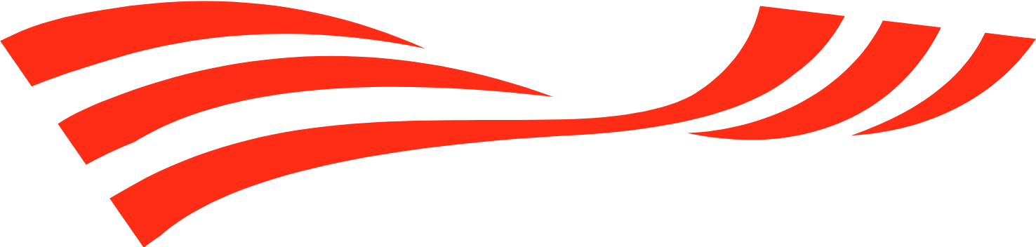 NWS holdings Logo (transparentes PNG)