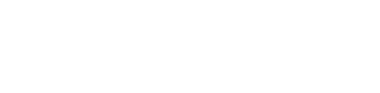 Beijing Airport logo grand pour les fonds sombres (PNG transparent)