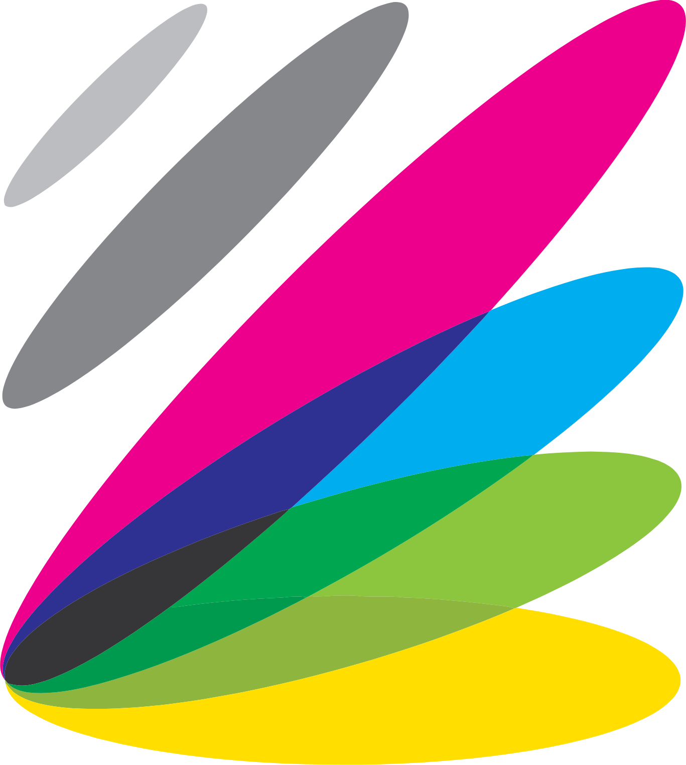 NetDragon Websoft Logo (transparentes PNG)