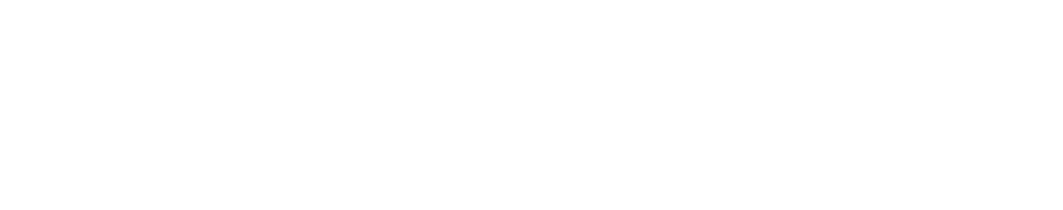 LIG Nex1 Logo groß für dunkle Hintergründe (transparentes PNG)