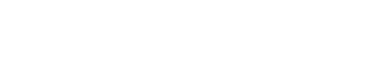Zhongsheng Group
 logo grand pour les fonds sombres (PNG transparent)