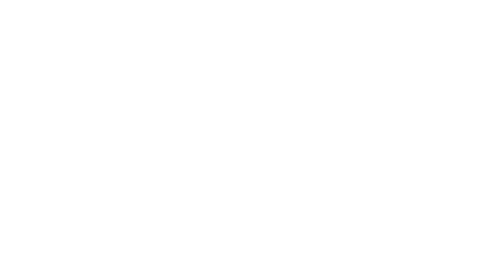 BAWAG Group logo fulle size on a dark background (transparent PNG)