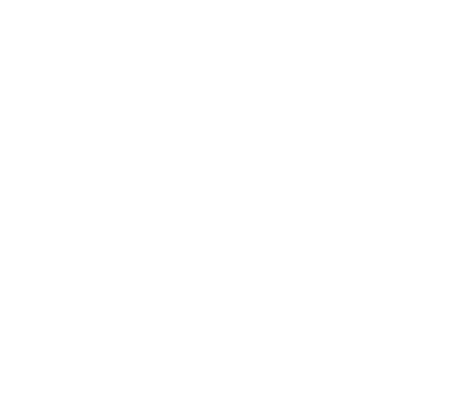 Stolt-Nielsen Limited Logo für dunkle Hintergründe (transparentes PNG)