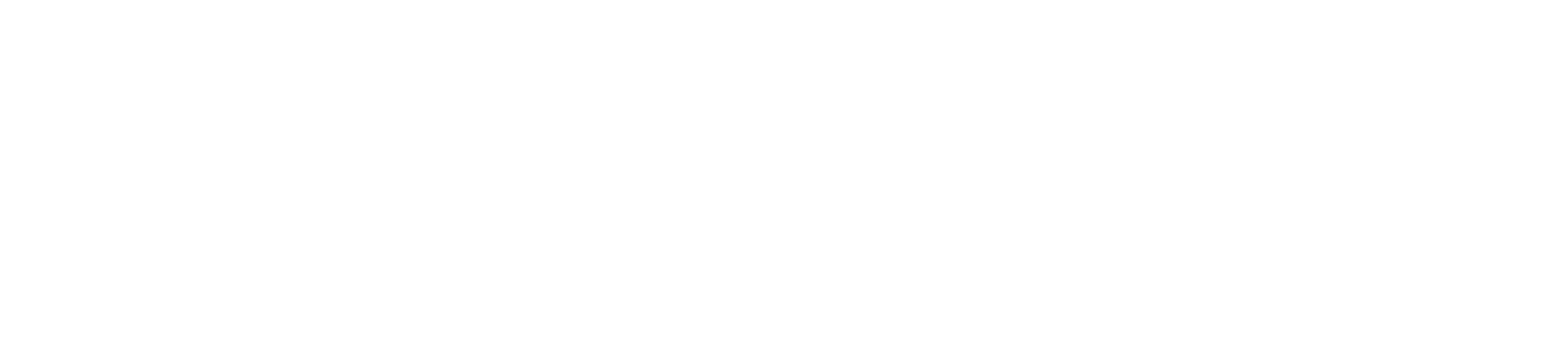 Stolt-Nielsen Limited logo grand pour les fonds sombres (PNG transparent)