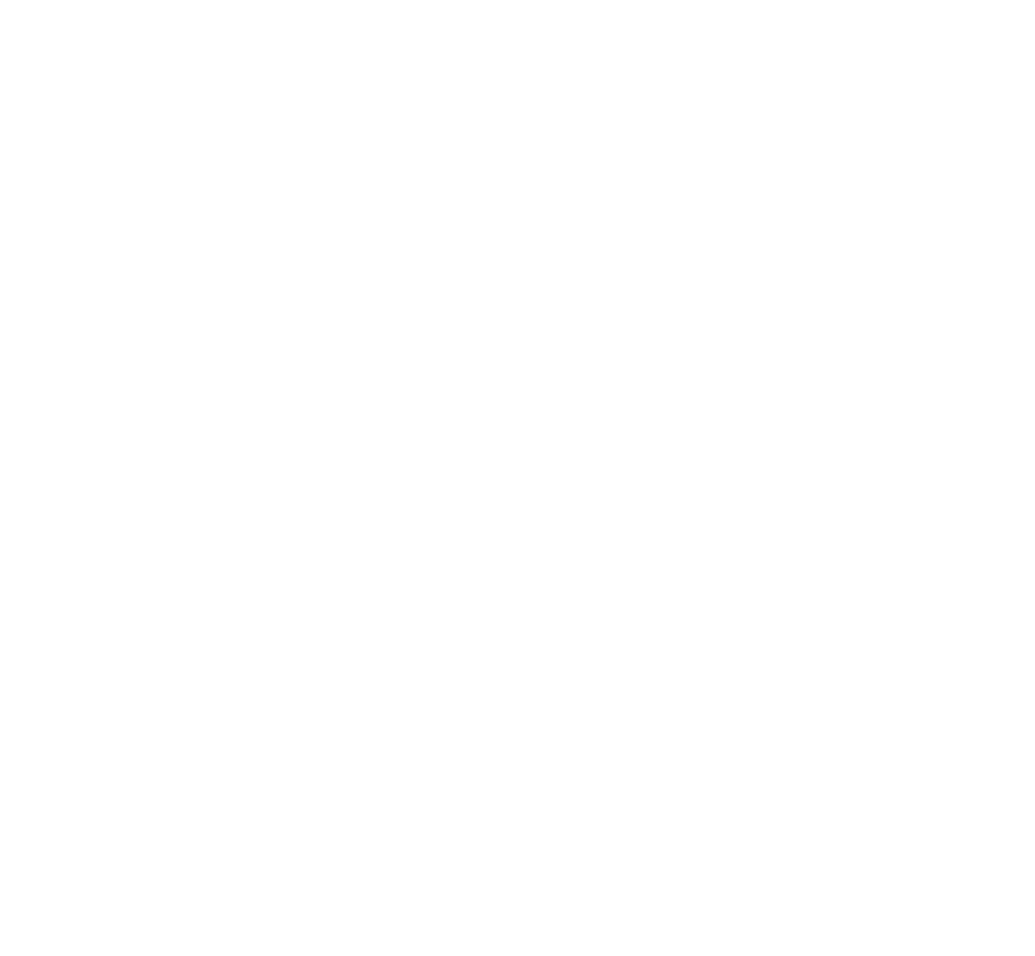 Feiyu Technology International Company logo for dark backgrounds (transparent PNG)