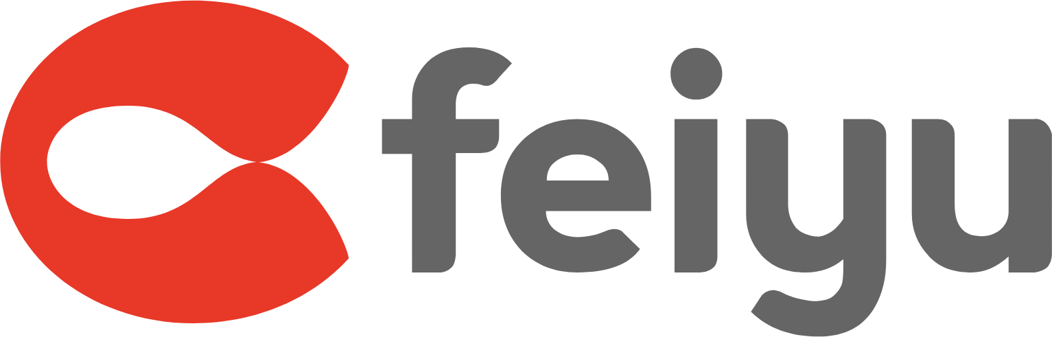 Feiyu Technology International Company logo large (transparent PNG)