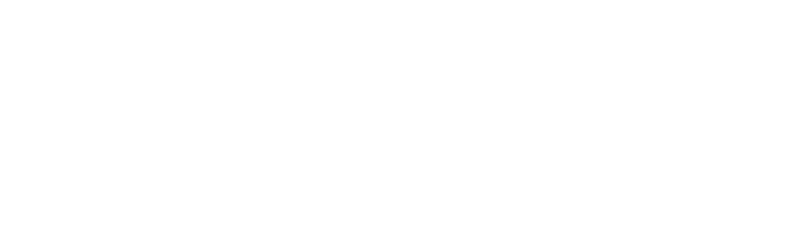Feiyu Technology International Company logo large for dark backgrounds (transparent PNG)