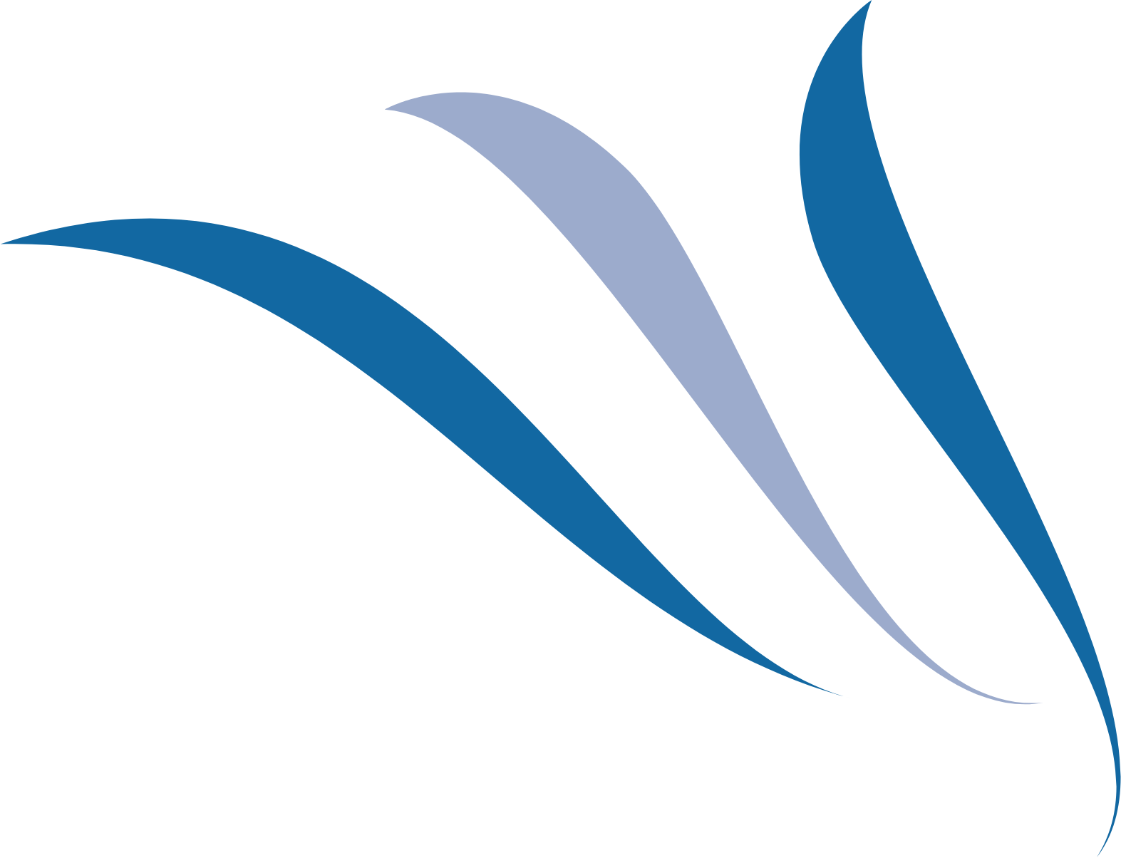West Holdings logo (PNG transparent)
