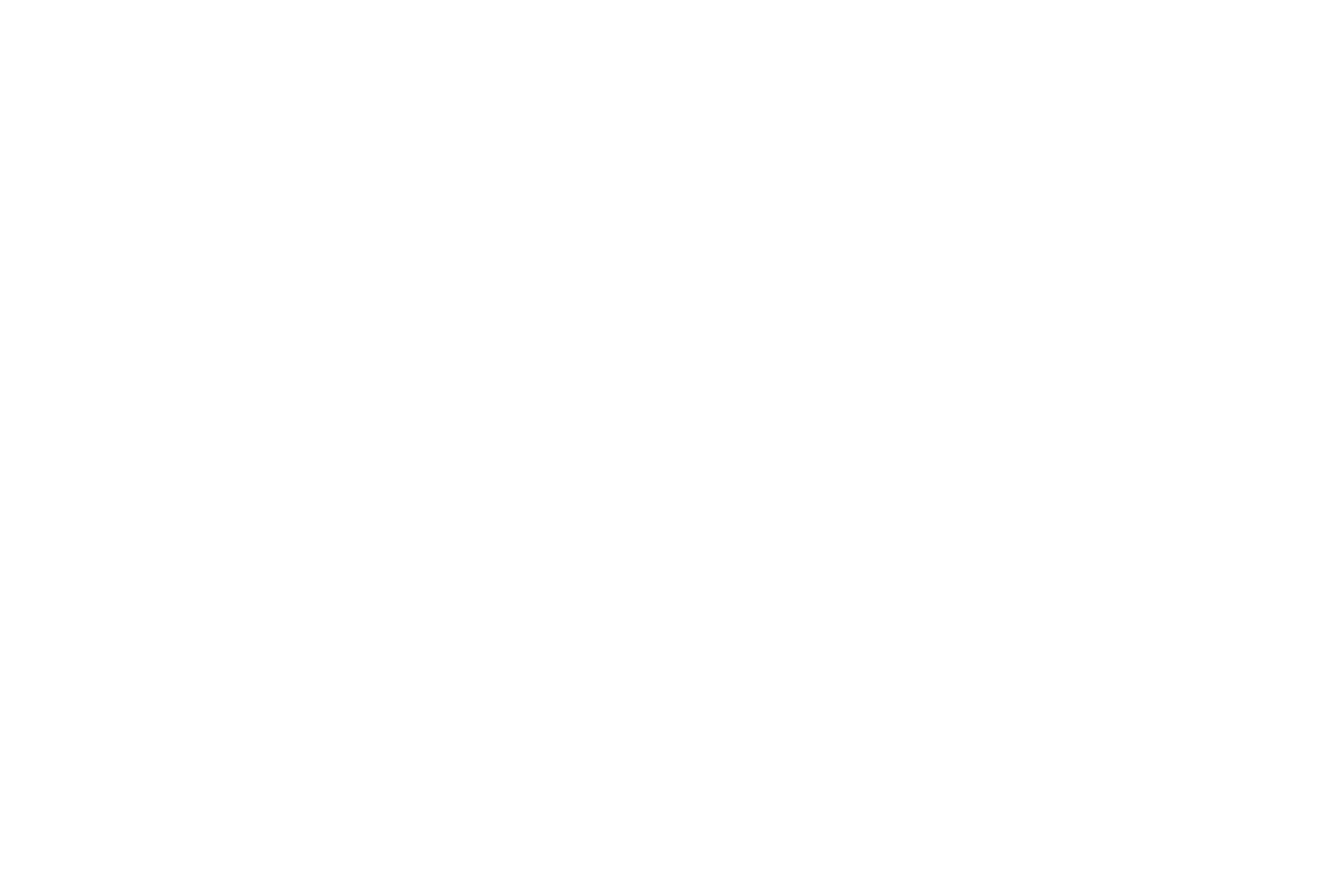 Taisei Corporation logo on a dark background (transparent PNG)