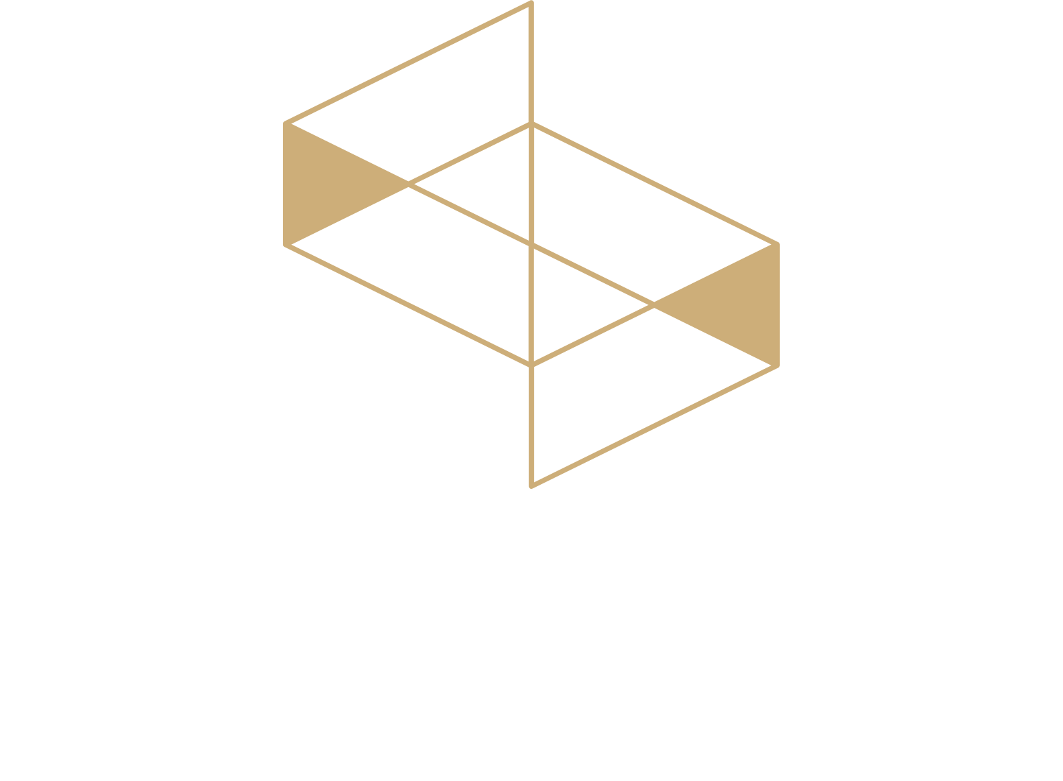 Sadr Logistics Company Logo groß für dunkle Hintergründe (transparentes PNG)