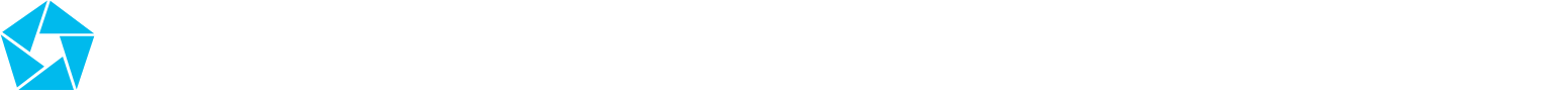 Penta-Ocean Construction Logo groß für dunkle Hintergründe (transparentes PNG)