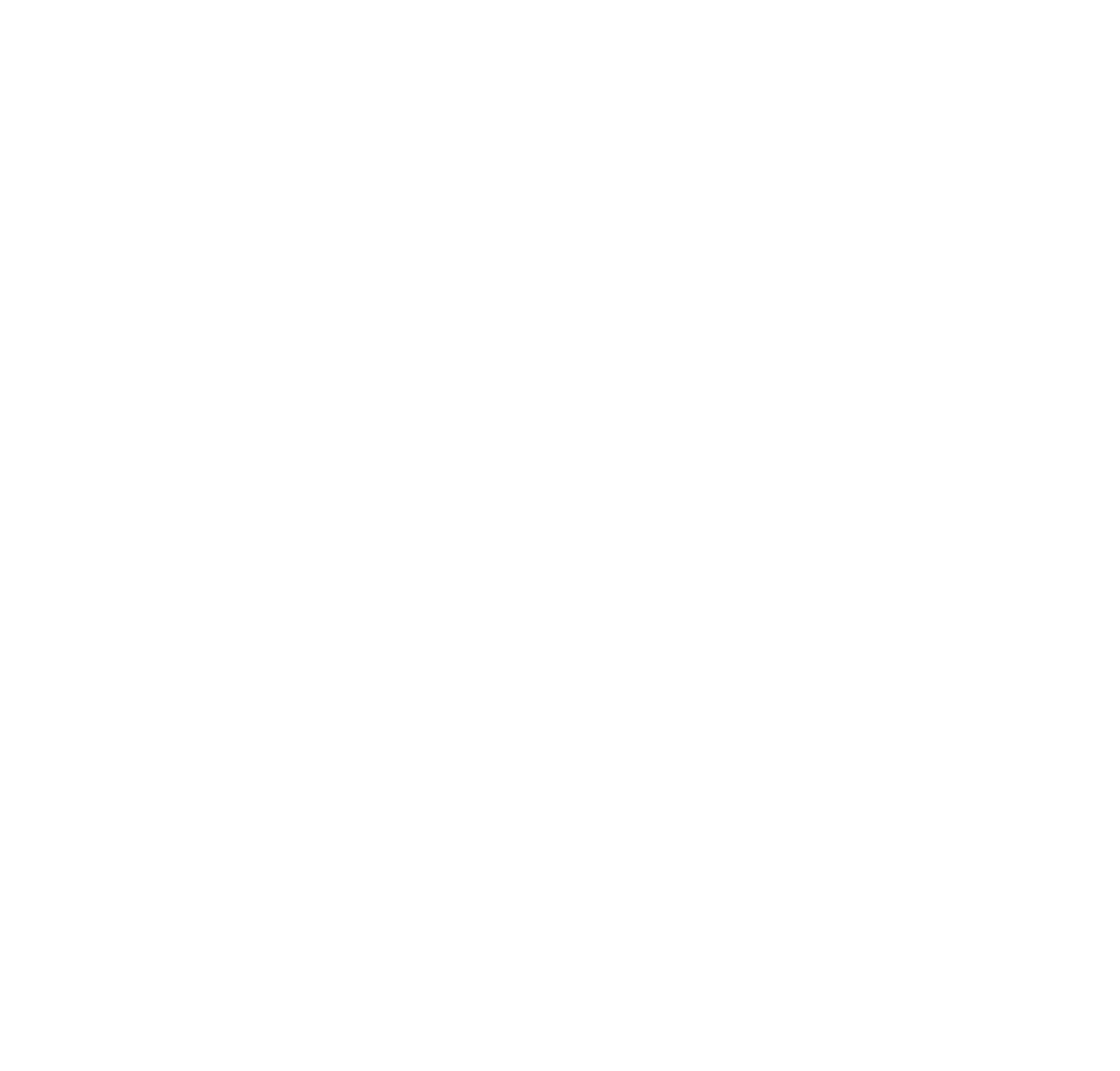 Ayyan Investment Company logo pour fonds sombres (PNG transparent)